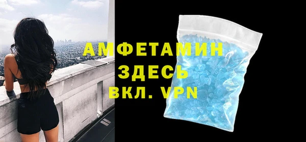 МДПВ Дмитриев