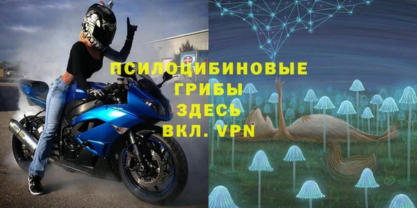 МДПВ Дмитриев