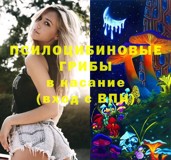 тгк Гусиноозёрск