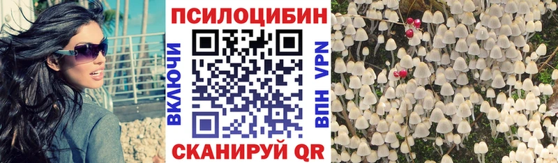 цены наркотик  hydra как зайти  Галлюциногенные грибы Cubensis  Жердевка 